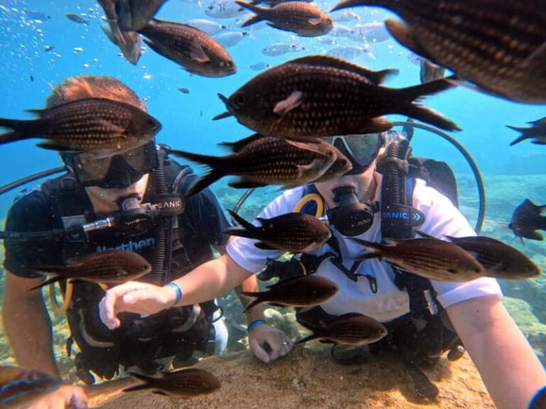 Discover Scuba Diving Experience - Final Thoughts on the Discover Scuba Diving Experience