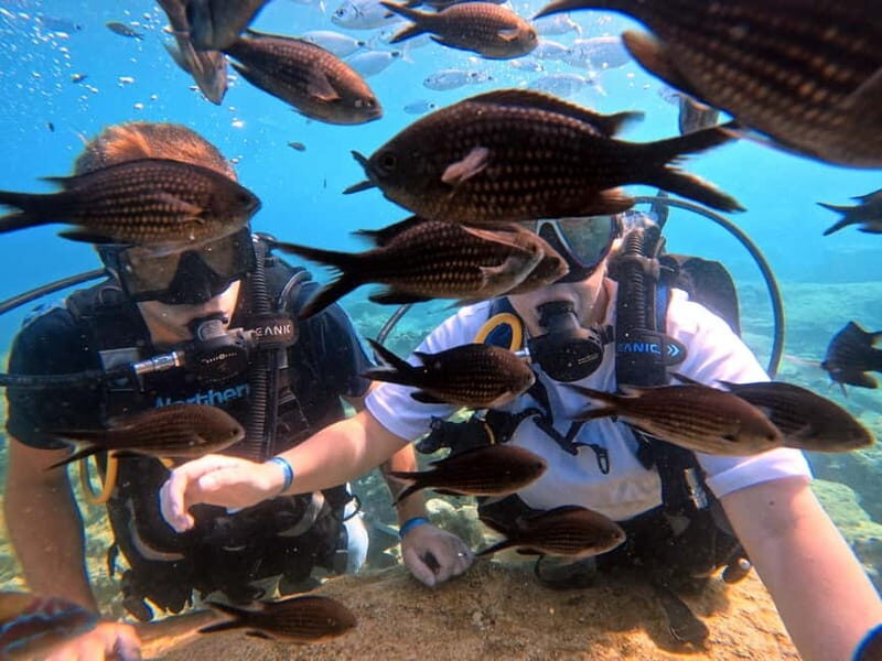 Discover Scuba Diving Experience - Final Thoughts on the Discover Scuba Diving Experience