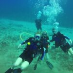 Discover Scuba Diving in Waikiki - What’s Included and What to Consider