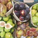 Discover Setúbal´s Secrets: Wine, Culture and Arrabida Magic - What to Expect and How It All Comes Together