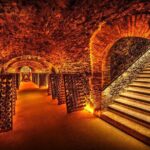 Discover The Cellars in The Heart of The Countryside in Champagne - Timing and Pacing