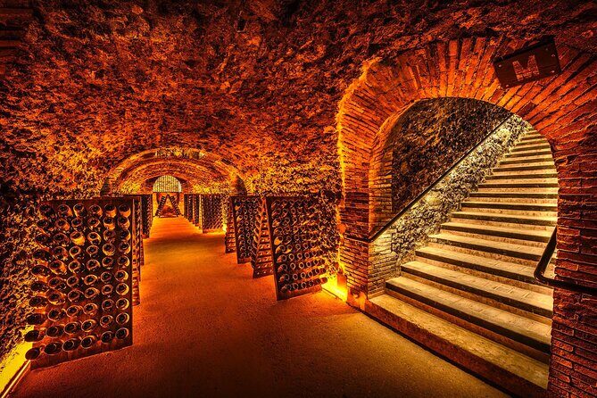 Discover The Cellars in The Heart of The Countryside in Champagne - Timing and Pacing