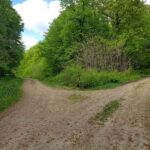 Discover the Charm of Guteria Hill/Sibiu Panorama - An In-Depth Look at the Guteria Hill Experience