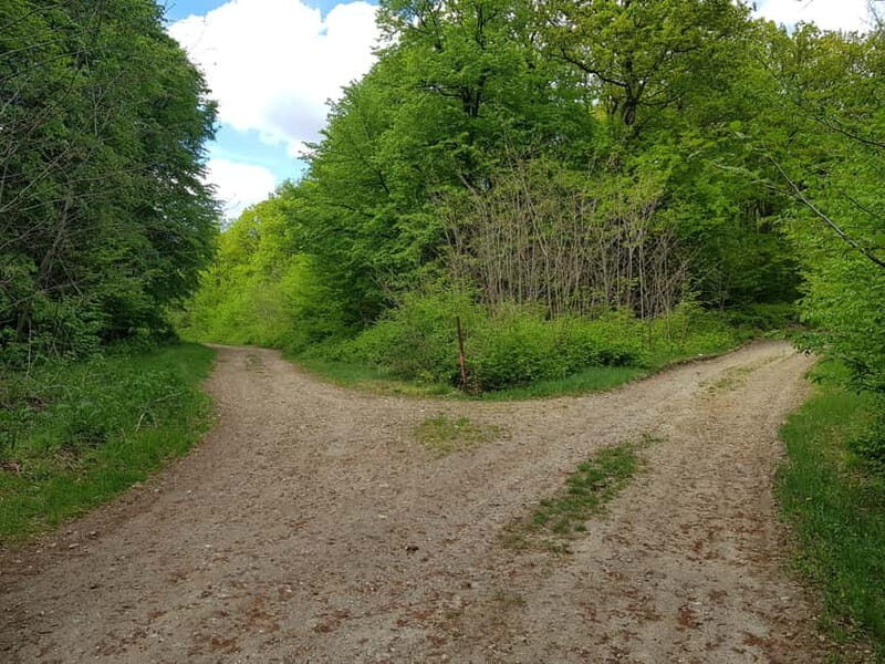 Discover the Charm of Guteria Hill/Sibiu Panorama - An In-Depth Look at the Guteria Hill Experience