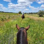 Discover the interior of Valencia on horseback - Exploring the horseback riding adventure in detail