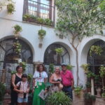 Discover the Patios of Cordoba: A Treasure of Color and Tradition. - The Itinerary Breakdown