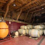 Discover the Ribeira Sacra with a unique wine experience! - The Experience in Detail