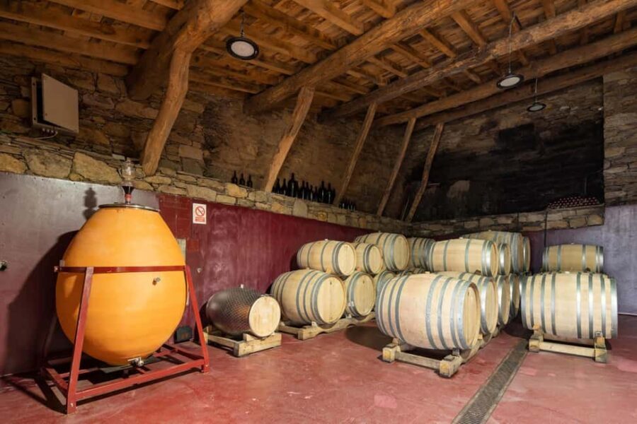 Discover the Ribeira Sacra with a unique wine experience! - The Experience in Detail