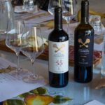 Discover the wines of Chianti Classico with a visit and tasting at Viticcio. - A closer look at the Viticcio tour experience