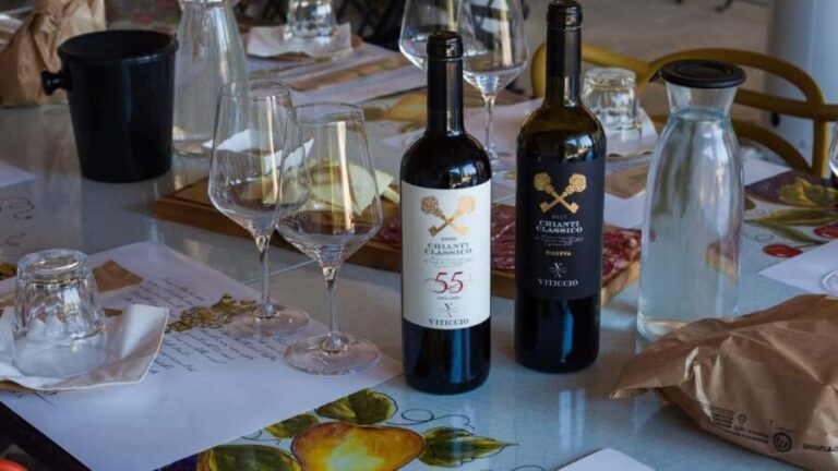 Discover the wines of Chianti Classico with a visit and tasting at Viticcio. - A closer look at the Viticcio tour experience