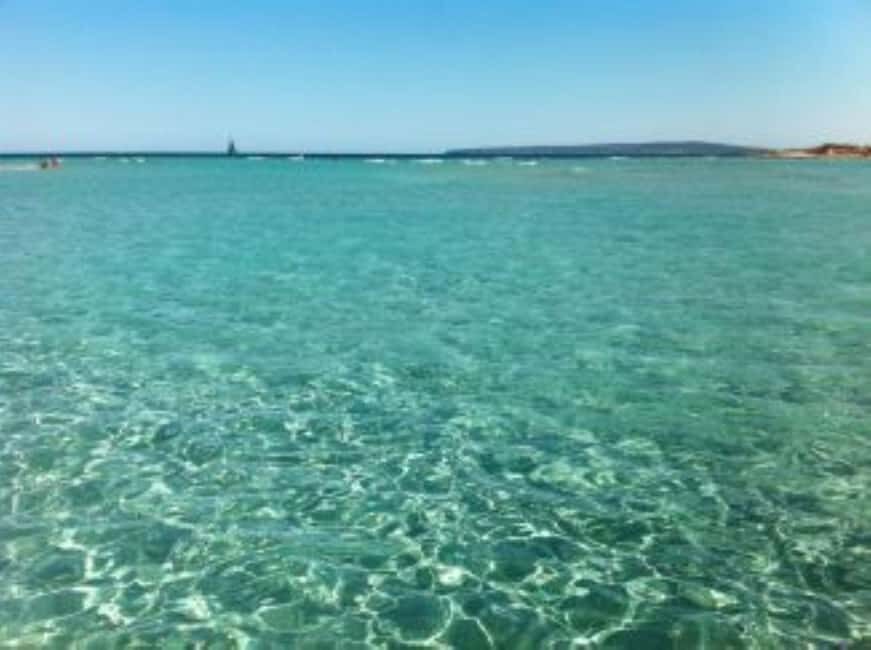 Discovering Formentera - Why This Tour Offers Good Value