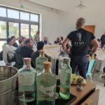 Distilleria Alma- Rum Distilery Guided Tour & Tasting - An In-Depth Look at the Distillery Tour & Tasting