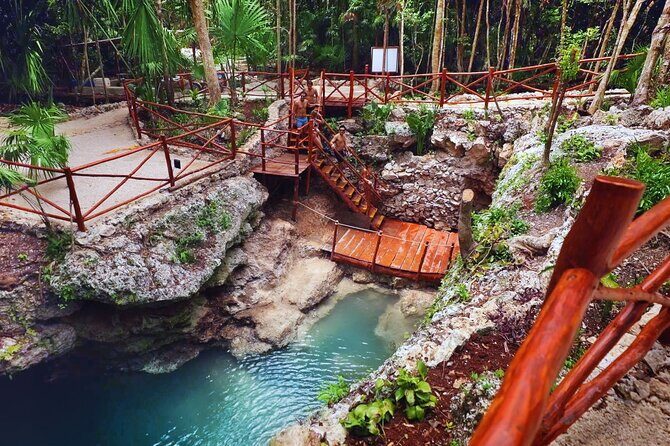Dive Into Paradise: Cenote Tour - Practical Details that Matter