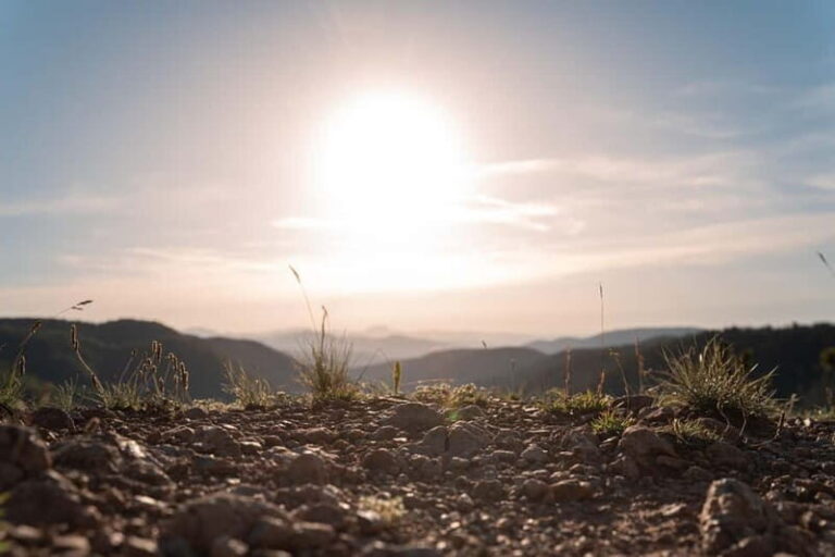 Divibare: Follow the Sun Hiking Tour - The Perfect Fit: Who Should Consider This Tour?