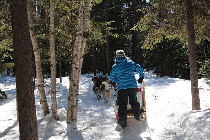 Dogsledding Nordic Adventure in Mont Tremblant - Why This Tour Is Worth Considering