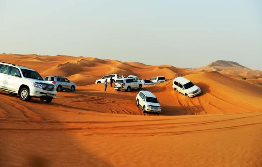 Doha: Beaches visit with Dune Bashing and SandBoarding - Value and Practicalities