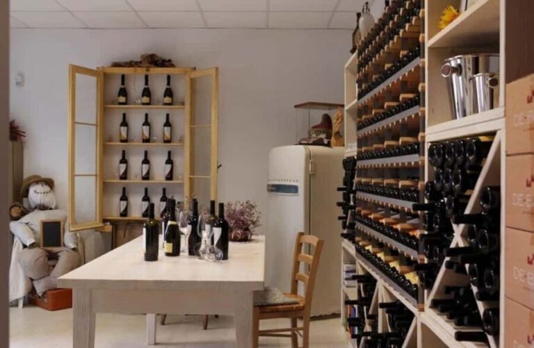 Dolomites Winery Tour and Wine Tasting near Belluno - In-Depth Look at the Experience