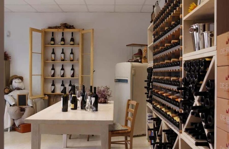 Dolomites Winery Tour and Wine Tasting near Belluno - In-Depth Look at the Experience