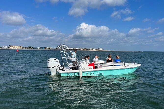 Dolphin and Nature Boat Excursion - Who Should Consider This Tour?