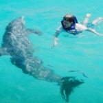 Dolphin and Snorkeling Activity in Panama City Florida - Why This Tour Works Well for Travelers