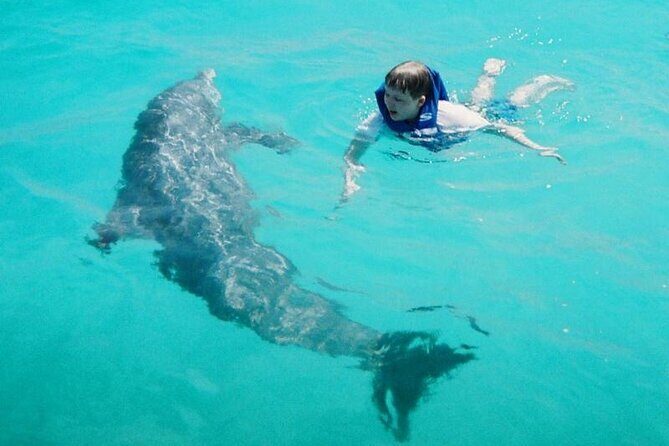 Dolphin and Snorkeling Activity in Panama City Florida - Why This Tour Works Well for Travelers