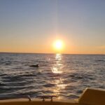 Dolphin and Sunset tour aboard the Hydro Rocket - Practical Details