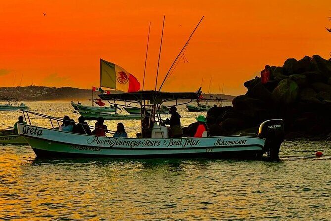 Dolphin and Whale Watching Boat Trip in Puerto Escondido - Who Will This Tour Suit?  