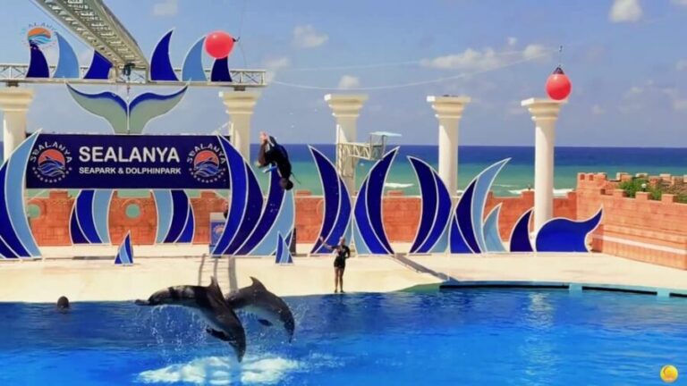 Dolphin Show Free Transfer From Alanya, Side, Kemer,Antalya - FAQ