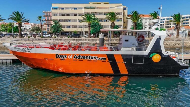 DOLPHIN WATCHING & BENAGIL CAVE TOUR FROM LAGOS - DUAL TRIP - An In-Depth Look at the Tour Experience