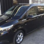 Dolphin Watching in the Wild - Half Day Tour - What Makes This Tour Stand Out