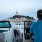 Dolphin Watching Sunset Speedboat Tour with Drinks in Rovinj - The Price and Its Value