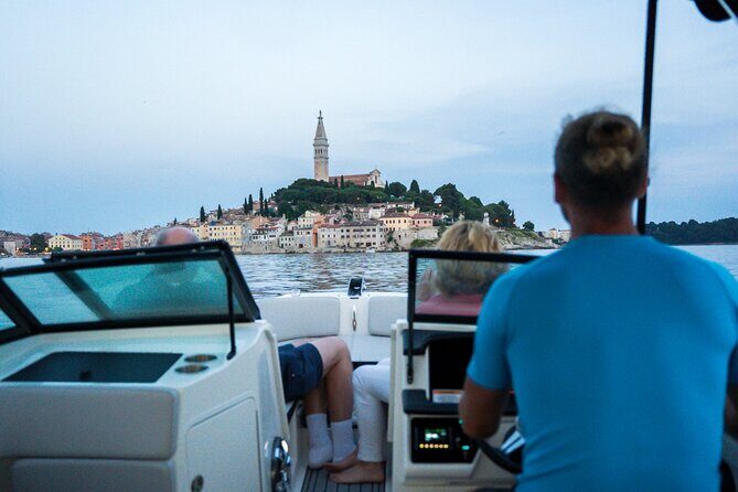 Dolphin Watching Sunset Speedboat Tour with Drinks in Rovinj - The Price and Its Value