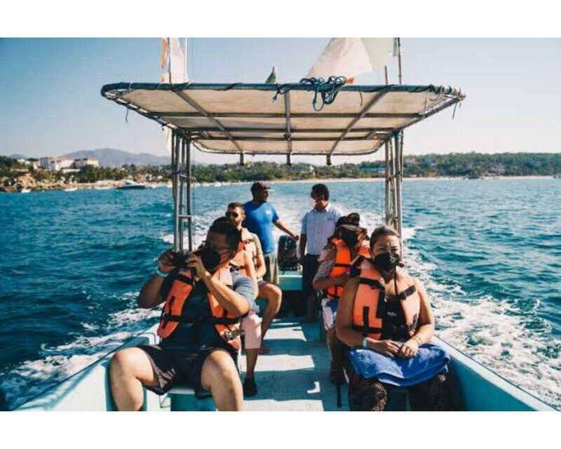 Dolphins and whales watching in Puerto Escondido. - Deep Dive: Itinerary Breakdown and Value  