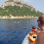 Dolphins: Dolphin Watching Tour and Capo Figari by Raft - An In-Depth Look at the Sardinian Dolphin Tour
