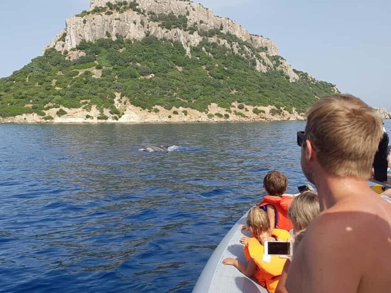 Dolphins: Dolphin Watching Tour and Capo Figari by Raft - An In-Depth Look at the Sardinian Dolphin Tour