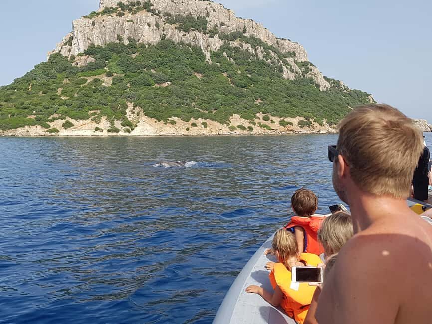 Dolphins: Dolphin Watching Tour and Capo Figari by Raft - An In-Depth Look at the Sardinian Dolphin Tour