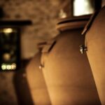 Domaine des Perchés: "Les Secrets des Perchés" tour - The Guided Tour Experience