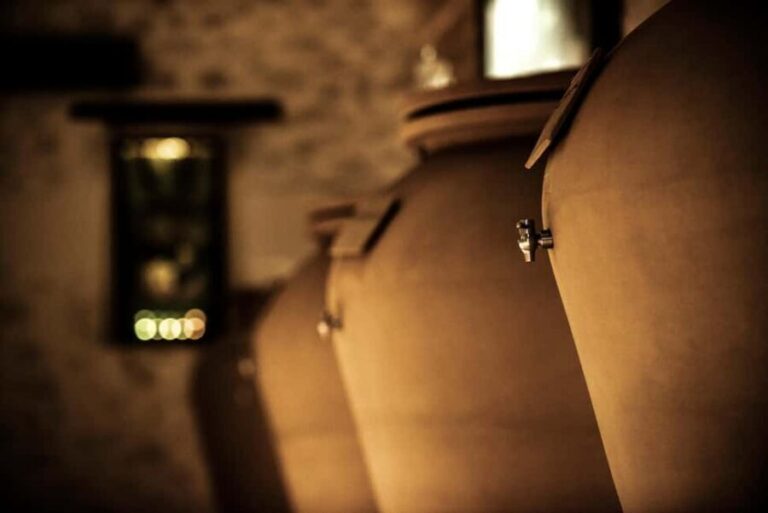 Domaine des Perchés: "Les Secrets des Perchés" tour - The Guided Tour Experience