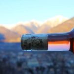 Domodossola: Savor Wines & Local Treats in a Scenic Vineyard - The Sum Up
