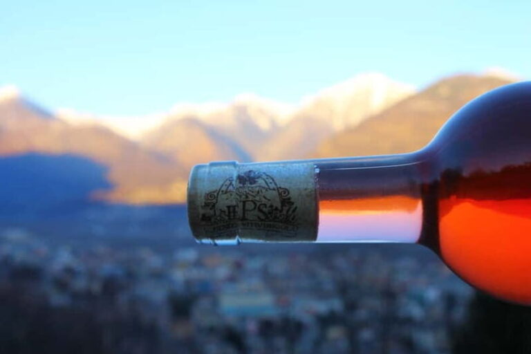 Domodossola: Savor Wines & Local Treats in a Scenic Vineyard - The Sum Up