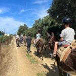 Donkey Ride - Cretan Country - What’s Included and What to Prepare For
