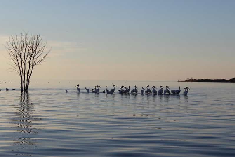 Door County Historic Cottage Row & Strawberry Islands Cruise - Who Is This Tour Best For?