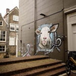 Dordrecht: Street Art Tour - The Journey Through Dordrecht’s Hidden Murals and Statues