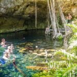 Dos Cenotes Adventure: Swim, Explore & Taste - Final Thoughts: Who Is This Tour Best For?