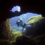 Double dive in Menorca: Discover Menorca's Marine Reserve - Who Should Consider This Tour?