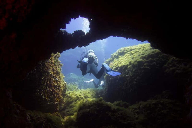 Double dive in Menorca: Discover Menorca's Marine Reserve - Who Should Consider This Tour?