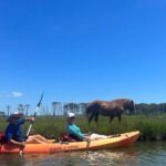 Double Sit on Top Kayak Rental at Assateague Island, MD - The Sum Up