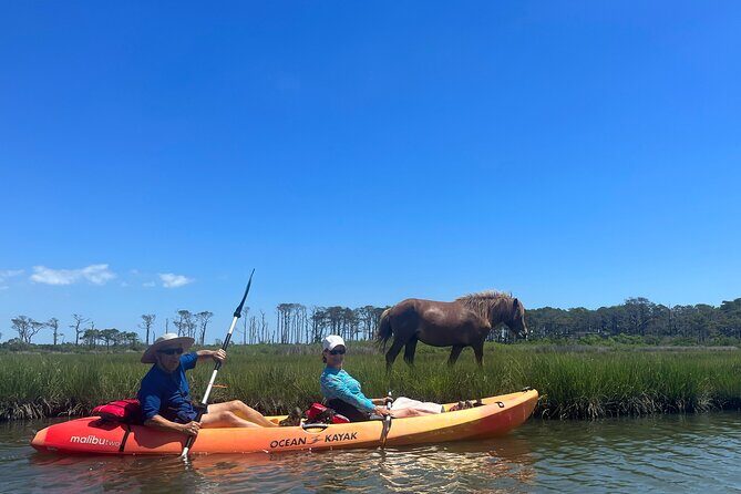 Double Sit on Top Kayak Rental at Assateague Island, MD - The Sum Up