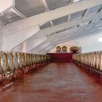 Douro: Martha's Selection - Premium Wine Tour and Tasting - Why This Tour Works Well