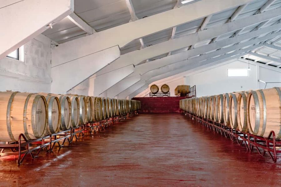 Douro: Martha's Selection - Premium Wine Tour and Tasting - Why This Tour Works Well